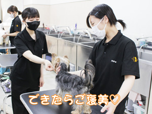 1年生が継続してステイの練習！